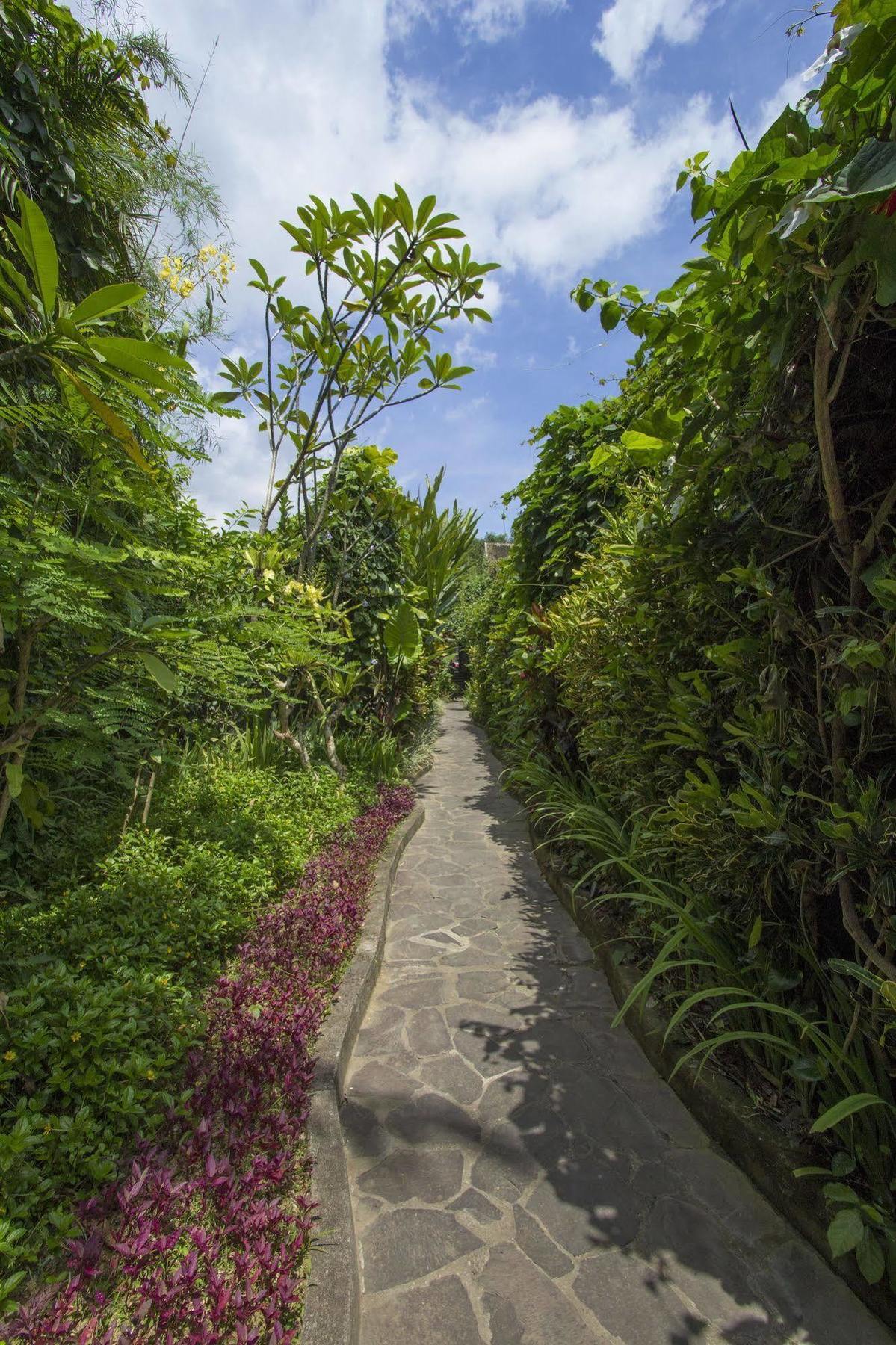 Ladera Villa Ubud Экстерьер фото